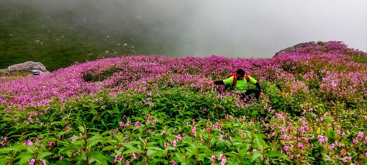 Hampta Pass Trek